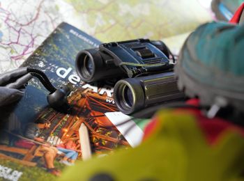 Percorso A piedi Theux - Chemin des Sources - Introduction to hiking in Polleur - Photo