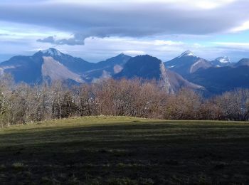 Tour Nordic Walking Seyssins - MN Haut de Seyssins  voie du tram - Photo