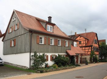 Excursión A pie Weikersheim - Rundwanderweg Schäftersheim - Photo