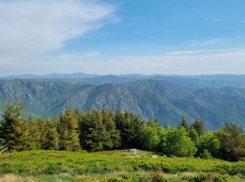 Randonnée Marche La Souche - Rocher d'Abraham par la Tour des Poignets - Photo