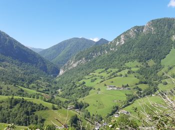 Tocht Stappen Lourdios-Ichère - Circuit les fougeraies lourdios-Ichère - Photo