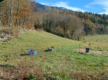 Tour Wandern La Sure en Chartreuse - Grand Raz Rousdeau - Photo