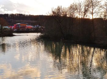 Tocht Te voet Esslingen am Neckar - Berkheim (Freyaeiche) - Köngen - Photo