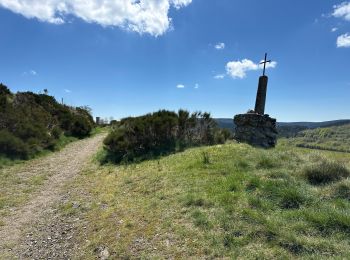 Excursión Senderismo Loubaresse - Loubaresse ruisseau de goutelles 10 km - Photo