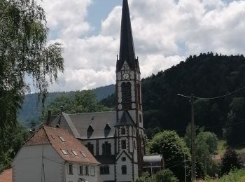 Trail Walking Sondernach - Sondernach est 2023 - Photo
