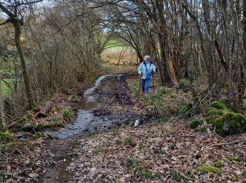 Tocht Stappen Saint-Huruge - Mamou cross the hill - Photo