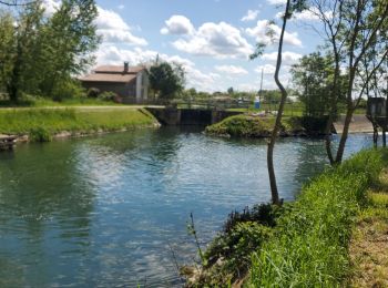 Trail Walking Coulon - les marais de Coulon - Photo