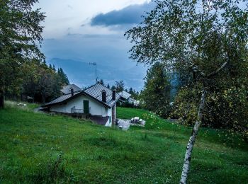 Percorso A piedi Trento - Sentiero Trento Nostra - Photo