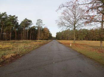 Percorso A piedi Brüggen - NSG Brachter Wald Wanderweg Rot - Photo