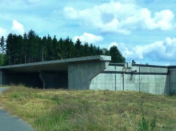 Randonnée A pied Bernkastel-Kues - Moselsteig Seitensprung Bernkasteler Bärensteig - Photo