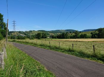 Trail Hybrid bike Saint-Côme-d'Olt - combes - Photo