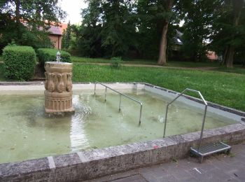 Tour Zu Fuß Neustadt an der Aisch - Naturlehrpfad Hasengründlein - Multernschlucht - Photo