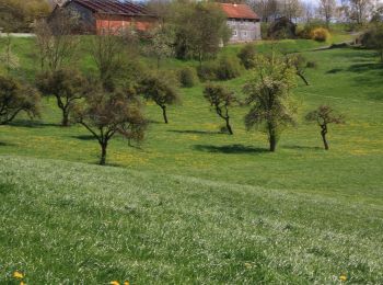 Tour Zu Fuß Poppenhausen - Dietershausen Rundweg 2 - Photo