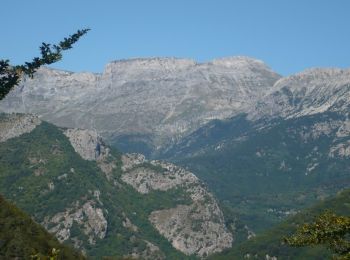 Percorso A piedi Mendatica - San Bernardo di Mendatica - Colle di Nava - Photo