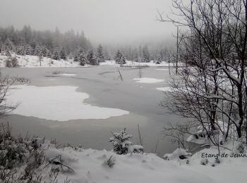 Percorso Racchette da neve Cornimont - Raquettes Chalet des Charmes - Photo