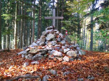 Tour Zu Fuß Semriach - Wanderweg 7 - Photo