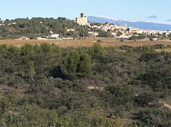 Randonnée Marche Châteauneuf-du-Pape - Châteauneuf du pape  - Photo