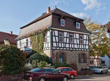 Percorso A piedi Rodenbach - Spessartbogen Zubringer Niederrodenbach - Burgberg - Photo