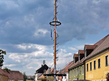 Tocht Te voet Windischeschenbach - Windischeschenbach Rundwanderweg Nr. 4 - Photo