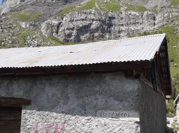 Excursión Senderismo Servoz - lac Vert,le chatelet,chalets de souay,Ayeres pierreries - Photo