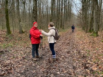 Tour Wandern Louye - 10-01-2020 Louye  - Photo