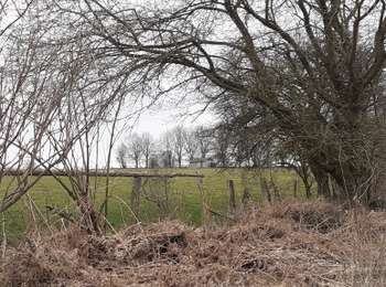 Trail On foot Libramont-Chevigny - carte_sans_nom (2) - Photo