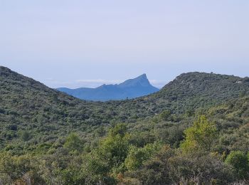 Tocht Stappen Garrigues - Garrigues-boisParis-grotte - Photo