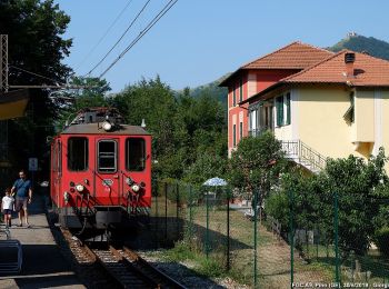 Tour Zu Fuß Montoggio - Crocera di Pino - Creto - Photo