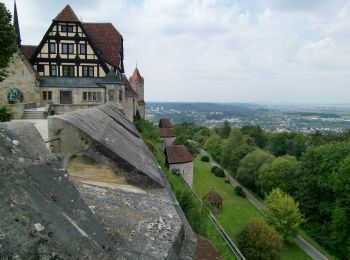 Excursión A pie Rödental - Emil-Rädlein-Weg - Photo