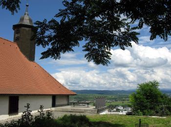 Tour Zu Fuß Eichstetten - Steinkauzpfad - Photo