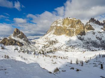 Trail On foot Cortina d'Ampezzo - IT-441 - Photo