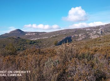 Tocht Stappen Aubagne - Eoures Garlaban - Photo