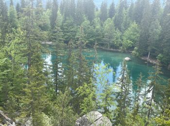 Randonnée Marche Passy - Plaine Joux, Barnus, le lac vert - Photo