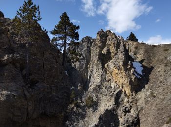 Tocht Stappen Cervières - Peyre moutte - Photo