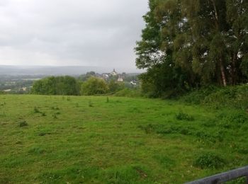 Excursión Senderismo Beaumont-en-Auge - Gaumont en auge - Photo