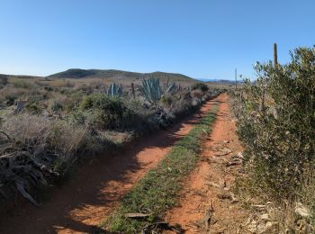 Randonnée Marche Níjar - Los Albaricoques 1 - Photo