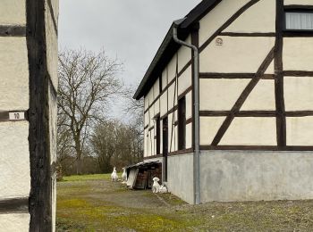 Trail Walking Somme-Leuze - Waillet - Photo