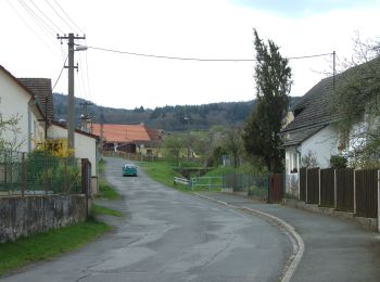 Tocht Te voet Kdyně - [Ž] Němčice - Koráb - Photo