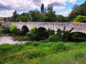 Percorso Marcia Candé-sur-Beuvron - Randonnée au départ de Candé sur Beuvron - Photo