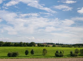 Randonnée A pied Paderborn - Dahler Aussichtstour - Photo