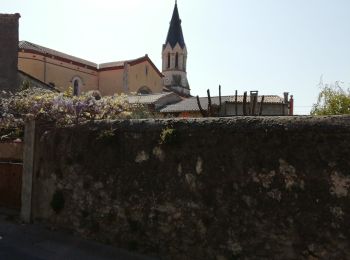 Randonnée Marche Loriol-sur-Drôme - De Vaucourte à St Pierre ( Loriol sur Drôme) - Photo