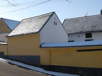 Percorso A piedi Lišov - [Ž] Poněšice - Kolná - Photo