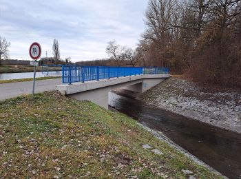 Excursión A pie Kostomlaty nad Labem - [Ž] Kostomlaty nad Labem - ústí Vlkavy - Photo