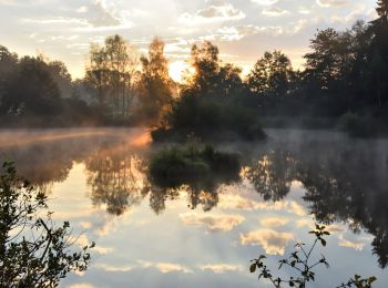 Randonnée A pied Pfäffikon - Pfäffikon - Effretikon - Photo