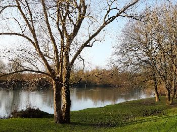 Randonnée Marche Conflans-sur-Seine - au départ de CONFLANS sur SEINE - Photo