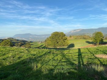 Tour Wandern Velanne - Boucle autour de sauge - Photo