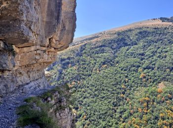 Tocht Stappen Rabou - Rabou Tour du Puy - Photo