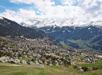 Tour Zu Fuß Val de Bagnes - Ancien Bisse du Levron - Photo