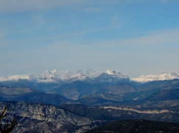 Tocht Stappen Bézaudun-les-Alpes - Bezaudun L'Estellier - Photo