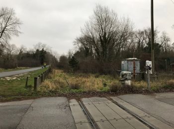 Tour Zu Fuß Zuydcoote - Circuit de la dune Marchand - Zuydcoote - Photo